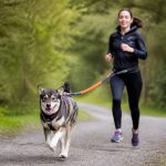 Chien courir : comment pratiquer le canicross en toute sécurité